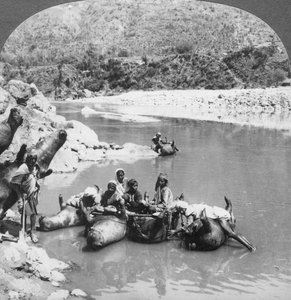 Inflated Bullock Skins Used as Ferry Boats on the Sutlej River, Punjab, India