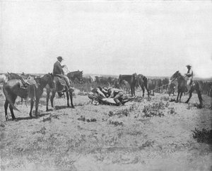 Inspecting a brand on the Prairies, USA