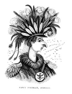 John James Audubon, American Ornithologist and Artist by Unbekannt