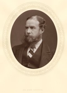 John Lubbock, First Baron Avebury, English Banker, Archaeologist, Naturalist and Politician by Unbekannt
