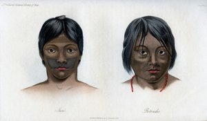 Juri and Botocudos, of the Brasilio-Guarani Nation, 1848