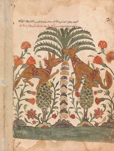 Kalila Upbraiding Dimna, Folio from a Kalila wa Dimna, 18th Century by Unbekannt