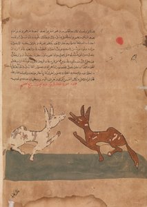 Kalila and Dimna Discussing Dimna