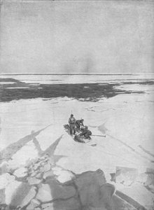 Killing Seals, 1911