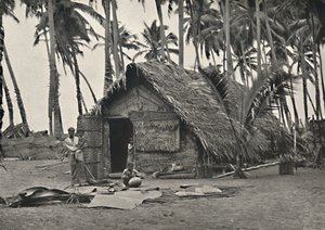 Coconut Palms and Native Hut Made of Coconut Leaves by Unbekannt