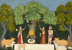 Krishna entertains his companions by Unbekannt
