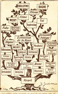The Tree of Alcohol