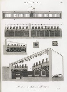 Pineapple Greenhouse, Elevation and Section of the Building by Unbekannt