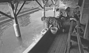 Washerwoman in a Village of France, 1966 by Unbekannt