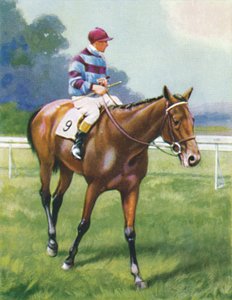 Legend of France, Jockey: A. Richardson by Unbekannt