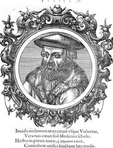 Leonhard Fuchs, German botanist and physician by Unbekannt