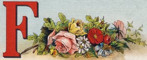 Letter F: Flowers