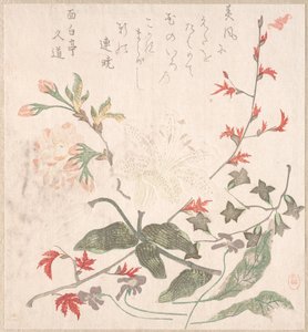 Lily, Violets, Cherry Blossoms, Forsythia, and a Branch of Red Maple, 18th-19th Century by Unbekannt