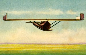 Lippisch Ente Plane by Unbekannt