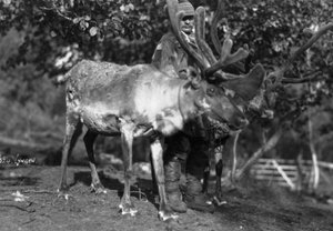 Local Man with a Reindeer, Lyngen, Northern Norway, c1920s-c1930s