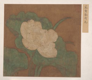 Lotus by Unbekannt