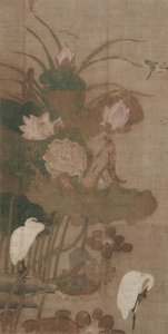 Lotuses, Insects, and Birds
