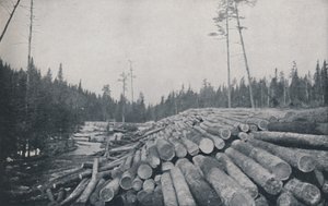 Lumbering