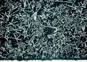 Metals, Non-Ferrous, Tin-Based Bearing Alloy by Unbekannt