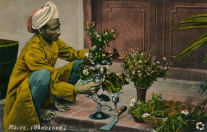 Malee Gardener