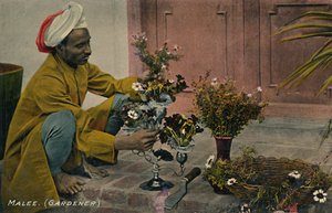 Malee. Gardener