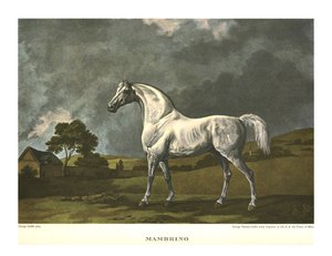 Mambrino, c1779, c1955 by Unbekannt