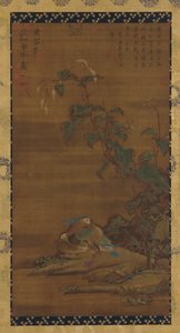 Mandarin Ducks under Smartweed