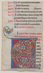 Manuscript Illumination with Initial V