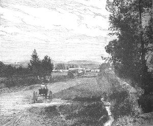 Market Street, Pretoria, c1880s by Unbekannt