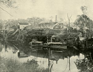 Meat Works, near Grafton, New South Wales by Unbekannt