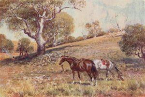 Mining Prospectors