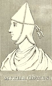 Mithridates by Unbekannt