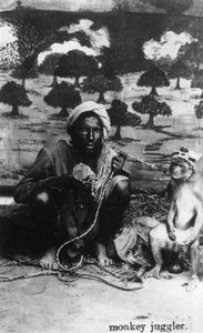 Monkey Juggler, India by Unbekannt
