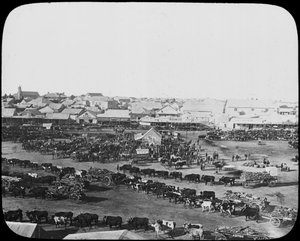 Morning Market, Kimberley, South Africa