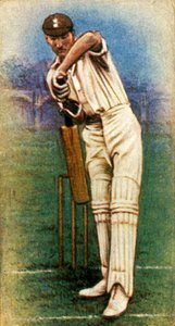 Mr. D. R. Jardine Surrey by Unbekannt