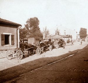 Mule Wagons with Supplies, Verdun, Northern France by Unbekannt