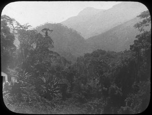 Near Petrópolis, Rio de Janeiro, Brazil