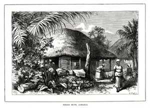 Negro Huts, Jamaica by Unbekannt