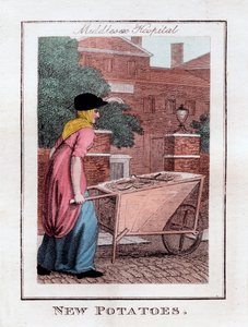 New Potatoes, Middlesex Hospital, London