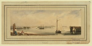 New York Harbor by Unbekannt