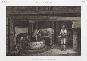 Oil mill, Egypt, c 1798 by Unbekannt
