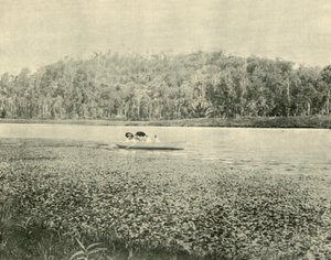 On the Enoggera Lake by Unbekannt