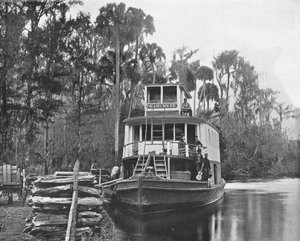 On the Ocklawaha River, Florida, USA