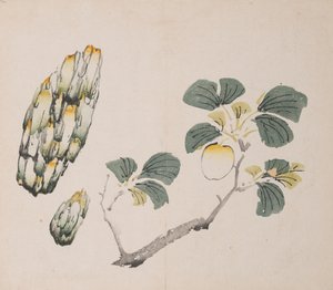 Page from Shi Zhu Zhai by Unbekannt