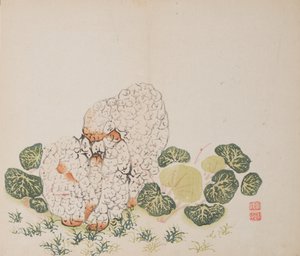 Page from Shi Zhu Zhai