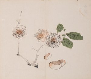 Page from Shi Zhu Zhai by Unbekannt