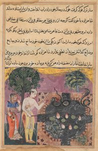 Page from Tales of a Parrot Tuti-nama: Eighteenth night: The prince, c. 1560 by Unbekannt