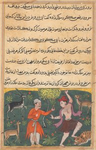 Page from Tales of a Parrot Tuti-nama: Eighteenth night: The prince meets... by Unbekannt