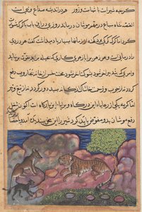 Page from Tales of a Parrot Tuti-nama: Fifteenth night: The wolf advises the lion by Unbekannt