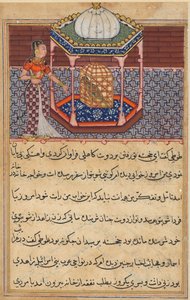Page from Tales of a Parrot Tuti-nama: Fifty-Second Night: The Parrot Addresses Khujasta